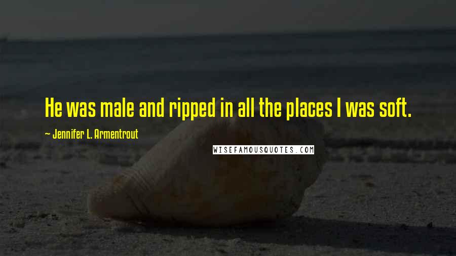 Jennifer L. Armentrout Quotes: He was male and ripped in all the places I was soft.