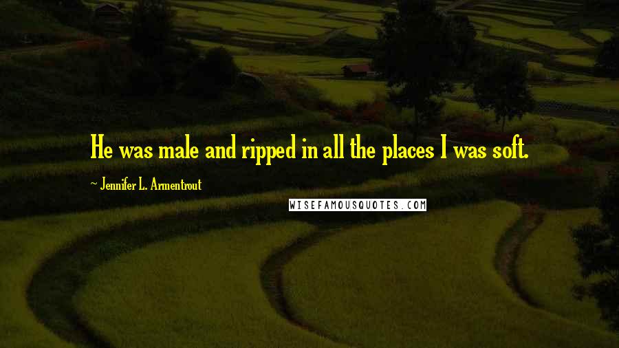 Jennifer L. Armentrout Quotes: He was male and ripped in all the places I was soft.