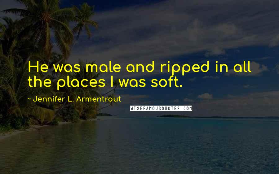Jennifer L. Armentrout Quotes: He was male and ripped in all the places I was soft.