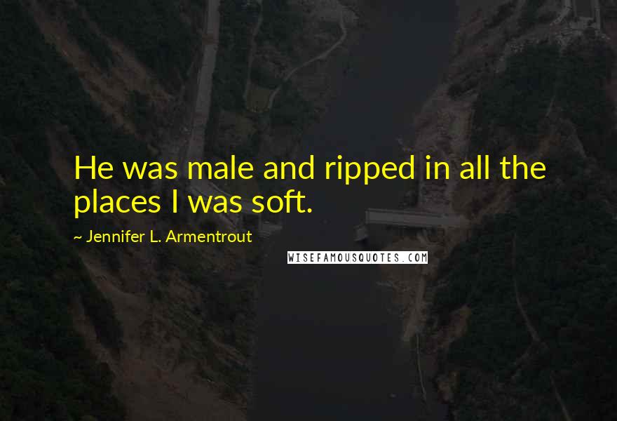 Jennifer L. Armentrout Quotes: He was male and ripped in all the places I was soft.
