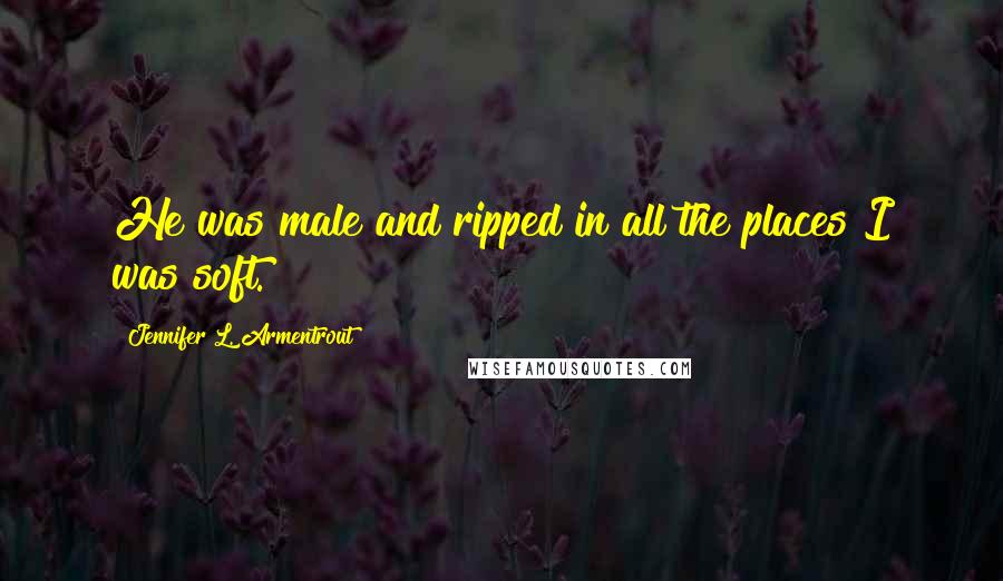 Jennifer L. Armentrout Quotes: He was male and ripped in all the places I was soft.