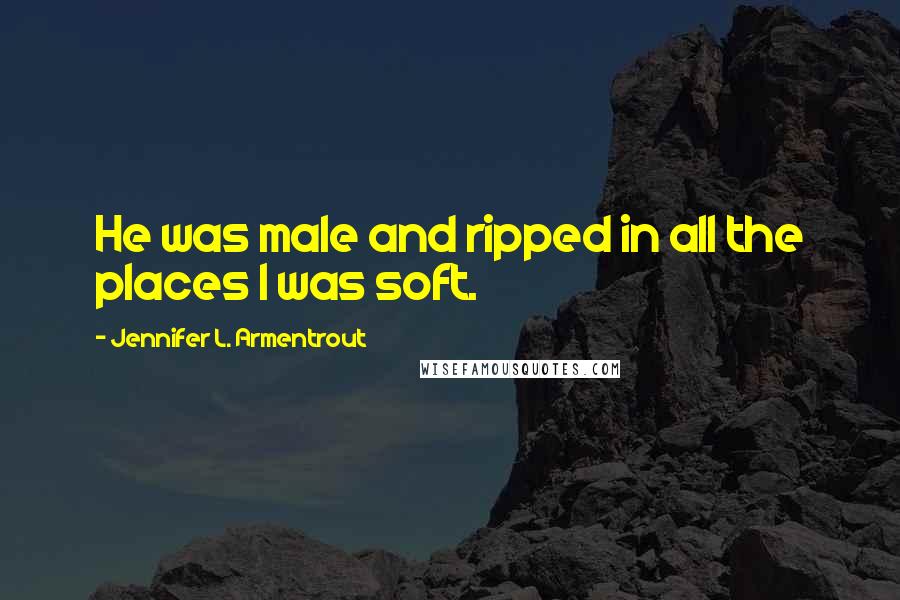 Jennifer L. Armentrout Quotes: He was male and ripped in all the places I was soft.