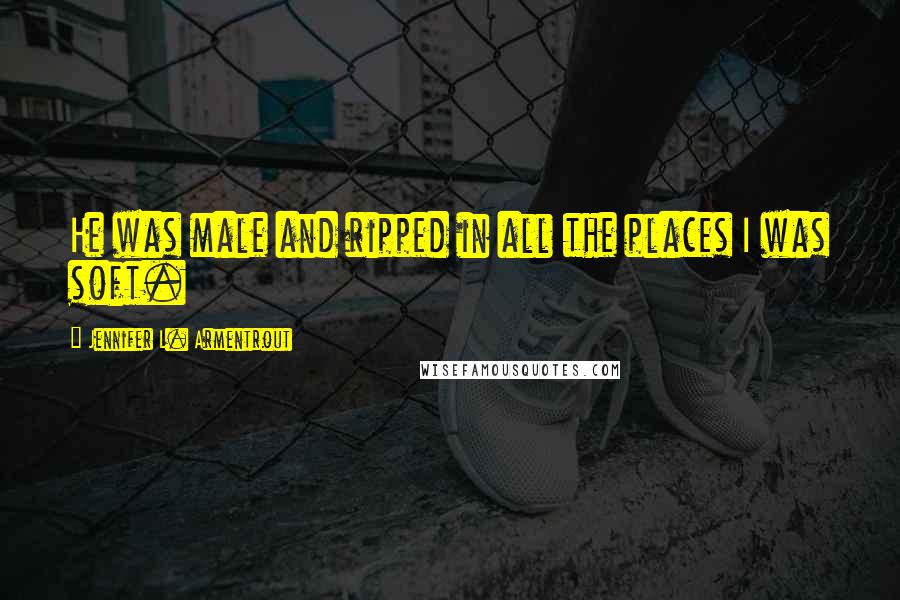 Jennifer L. Armentrout Quotes: He was male and ripped in all the places I was soft.