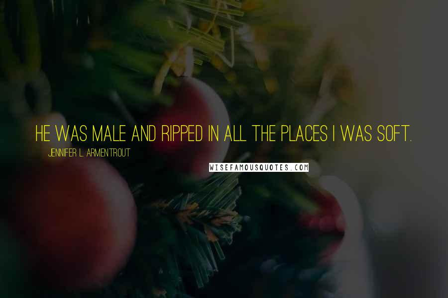Jennifer L. Armentrout Quotes: He was male and ripped in all the places I was soft.