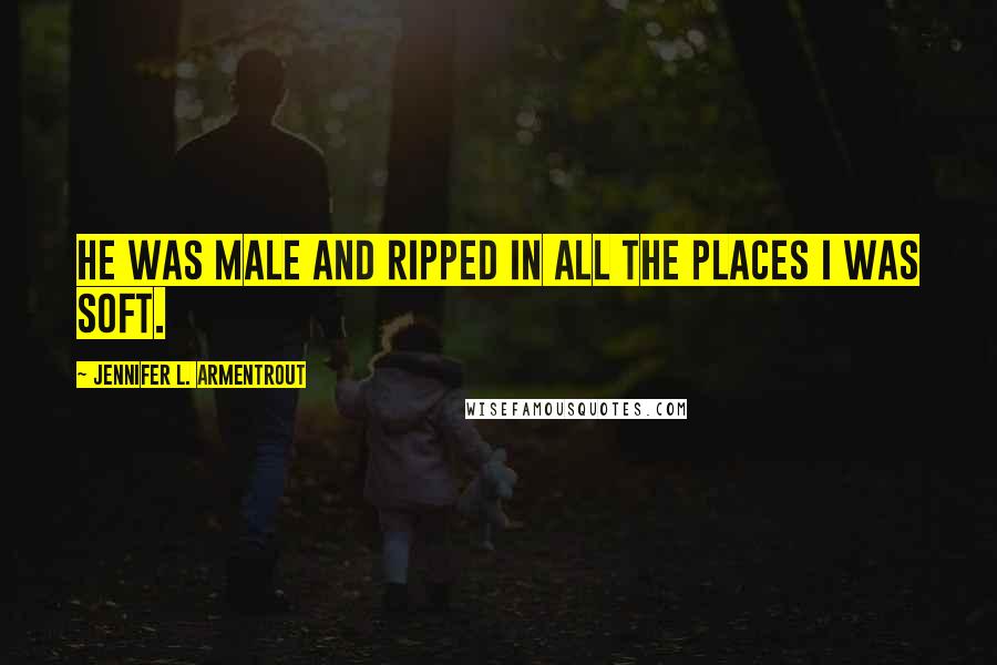 Jennifer L. Armentrout Quotes: He was male and ripped in all the places I was soft.