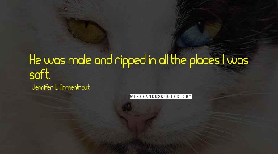 Jennifer L. Armentrout Quotes: He was male and ripped in all the places I was soft.