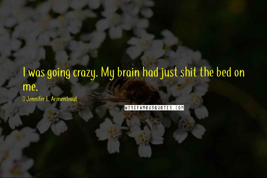 Jennifer L. Armentrout Quotes: I was going crazy. My brain had just shit the bed on me.