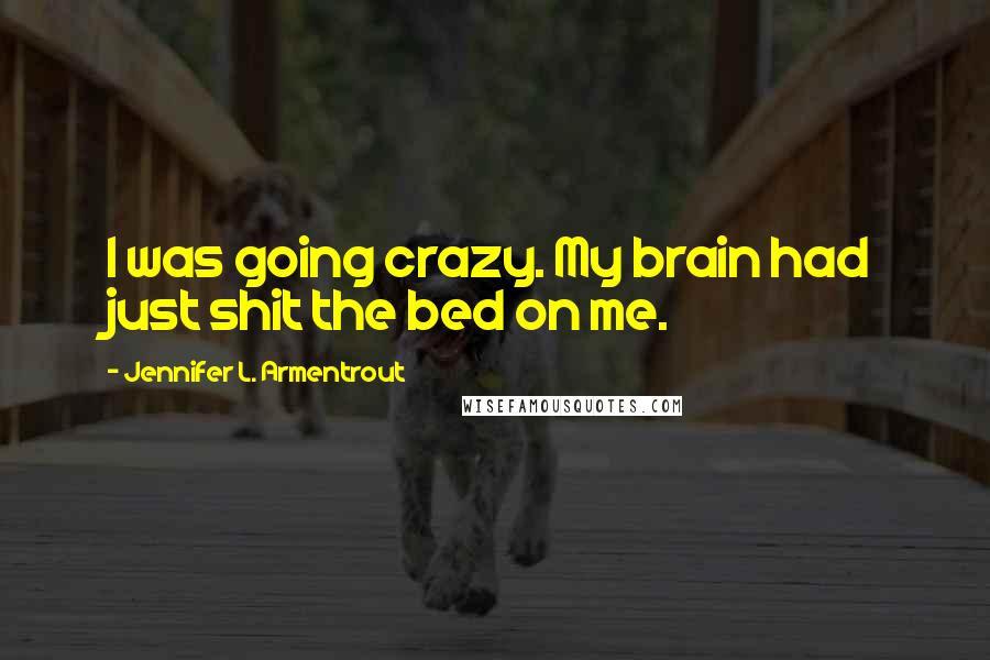 Jennifer L. Armentrout Quotes: I was going crazy. My brain had just shit the bed on me.