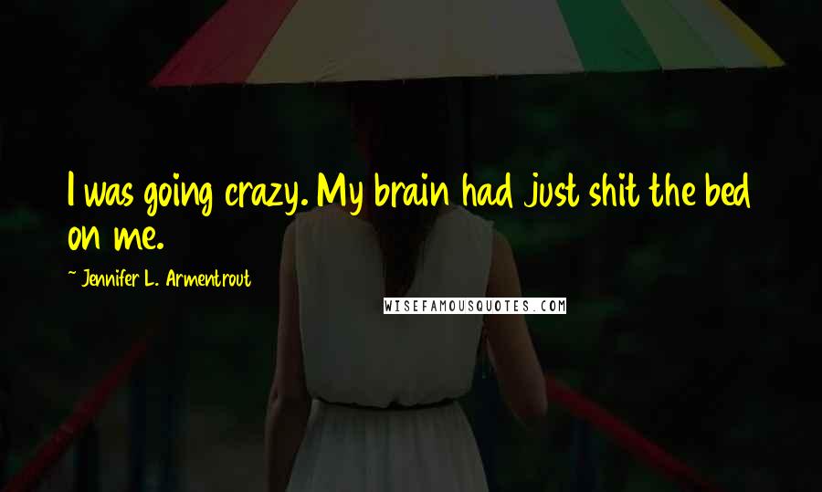 Jennifer L. Armentrout Quotes: I was going crazy. My brain had just shit the bed on me.