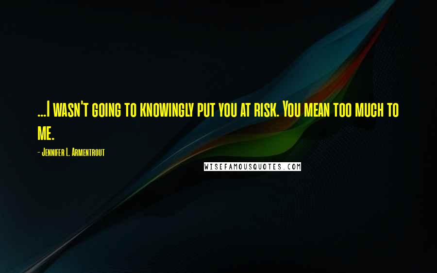 Jennifer L. Armentrout Quotes: ...I wasn't going to knowingly put you at risk. You mean too much to me.