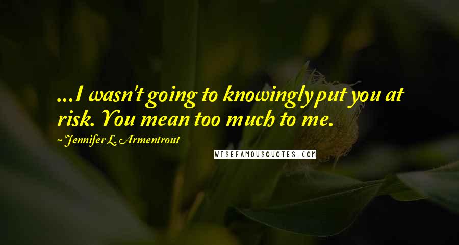 Jennifer L. Armentrout Quotes: ...I wasn't going to knowingly put you at risk. You mean too much to me.