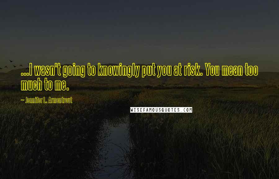 Jennifer L. Armentrout Quotes: ...I wasn't going to knowingly put you at risk. You mean too much to me.