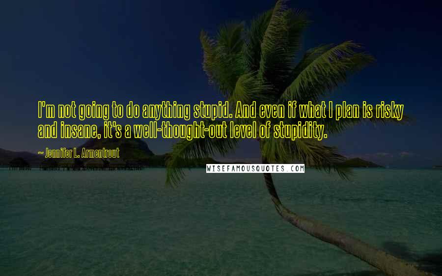 Jennifer L. Armentrout Quotes: I'm not going to do anything stupid. And even if what I plan is risky and insane, it's a well-thought-out level of stupidity.