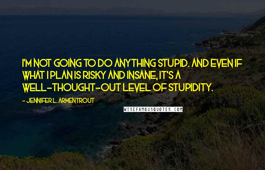 Jennifer L. Armentrout Quotes: I'm not going to do anything stupid. And even if what I plan is risky and insane, it's a well-thought-out level of stupidity.