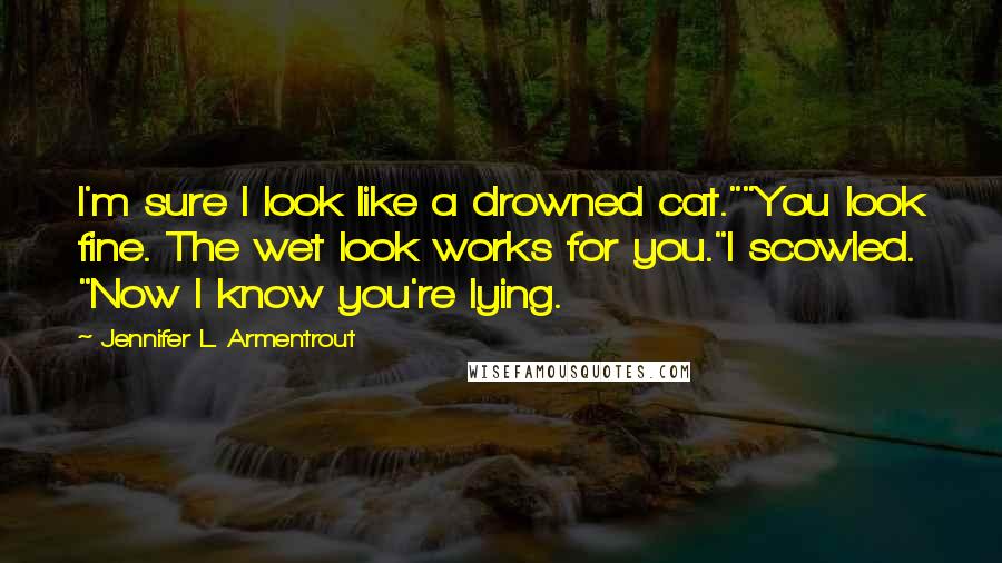 Jennifer L. Armentrout Quotes: I'm sure I look like a drowned cat.""You look fine. The wet look works for you."I scowled. "Now I know you're lying.