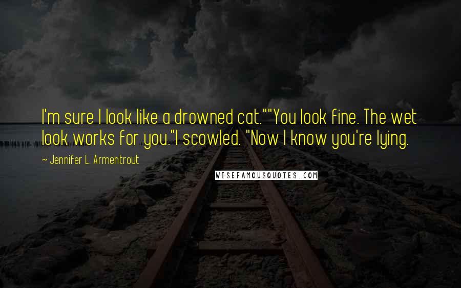 Jennifer L. Armentrout Quotes: I'm sure I look like a drowned cat.""You look fine. The wet look works for you."I scowled. "Now I know you're lying.