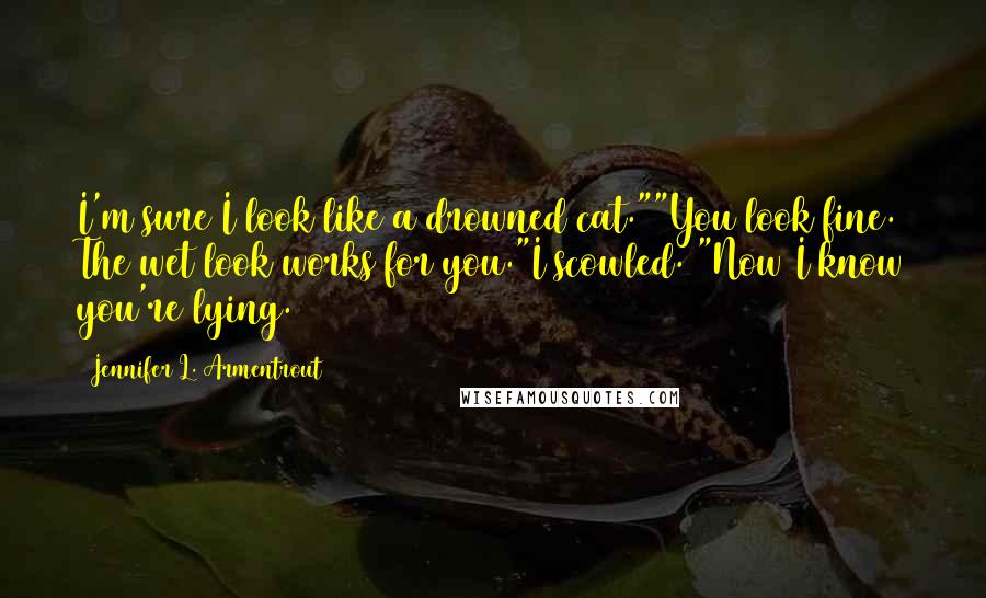 Jennifer L. Armentrout Quotes: I'm sure I look like a drowned cat.""You look fine. The wet look works for you."I scowled. "Now I know you're lying.