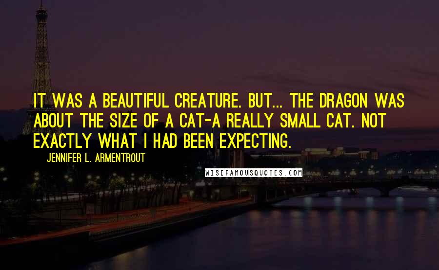 Jennifer L. Armentrout Quotes: It was a beautiful creature. But... the dragon was about the size of a cat-a really small cat. Not exactly what I had been expecting.