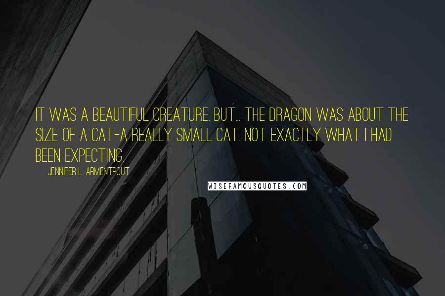 Jennifer L. Armentrout Quotes: It was a beautiful creature. But... the dragon was about the size of a cat-a really small cat. Not exactly what I had been expecting.