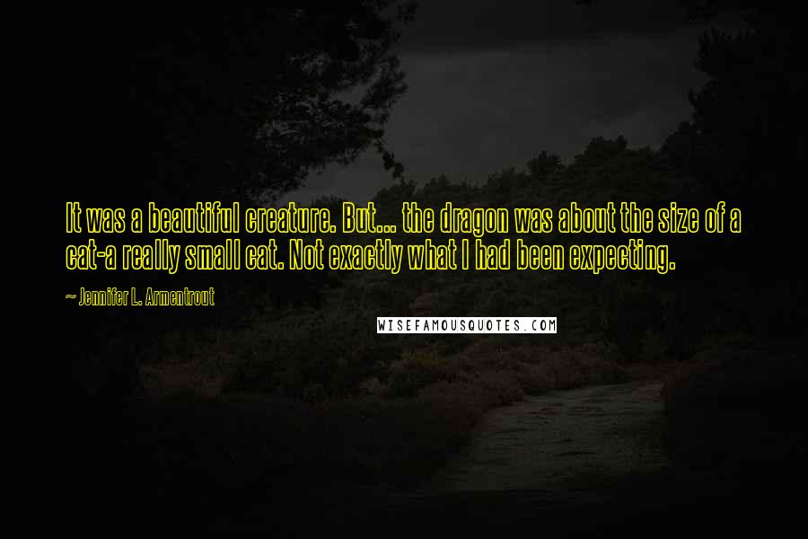 Jennifer L. Armentrout Quotes: It was a beautiful creature. But... the dragon was about the size of a cat-a really small cat. Not exactly what I had been expecting.