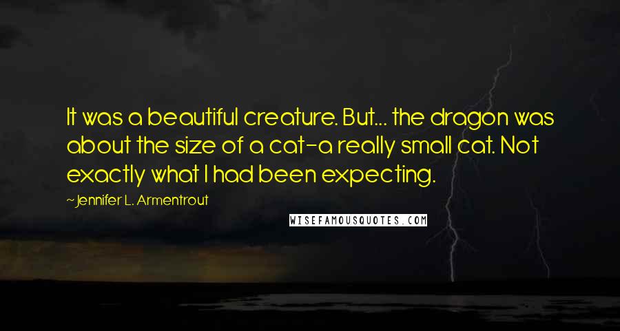 Jennifer L. Armentrout Quotes: It was a beautiful creature. But... the dragon was about the size of a cat-a really small cat. Not exactly what I had been expecting.