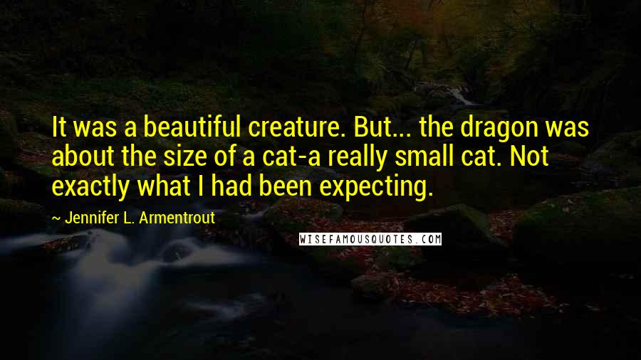 Jennifer L. Armentrout Quotes: It was a beautiful creature. But... the dragon was about the size of a cat-a really small cat. Not exactly what I had been expecting.