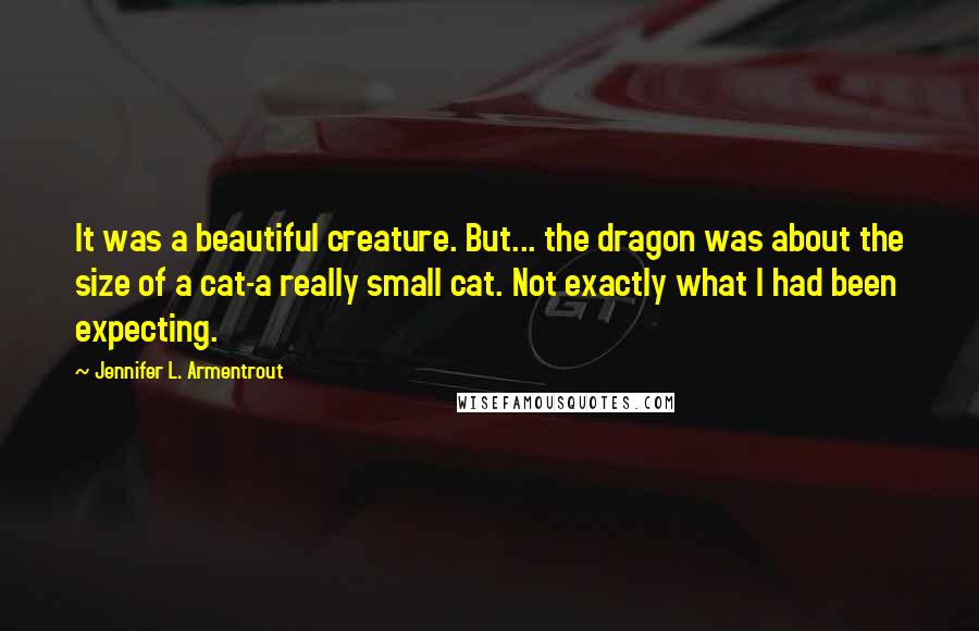 Jennifer L. Armentrout Quotes: It was a beautiful creature. But... the dragon was about the size of a cat-a really small cat. Not exactly what I had been expecting.