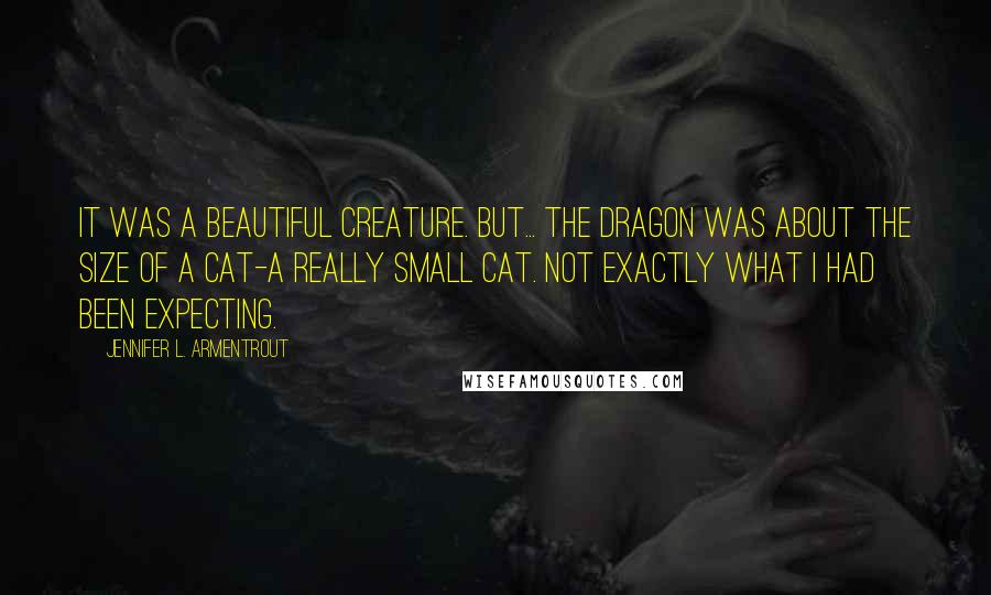 Jennifer L. Armentrout Quotes: It was a beautiful creature. But... the dragon was about the size of a cat-a really small cat. Not exactly what I had been expecting.