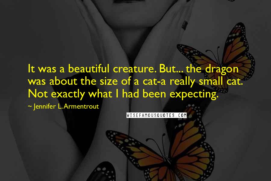 Jennifer L. Armentrout Quotes: It was a beautiful creature. But... the dragon was about the size of a cat-a really small cat. Not exactly what I had been expecting.