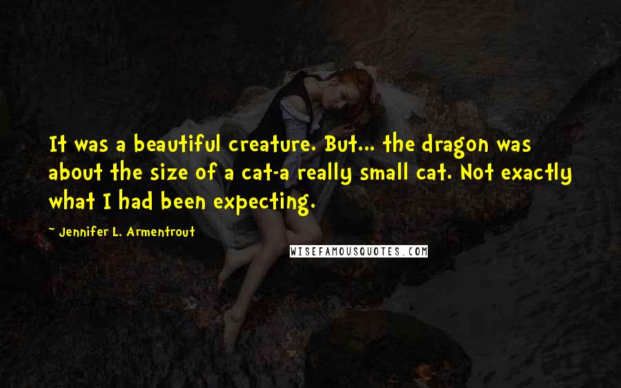 Jennifer L. Armentrout Quotes: It was a beautiful creature. But... the dragon was about the size of a cat-a really small cat. Not exactly what I had been expecting.