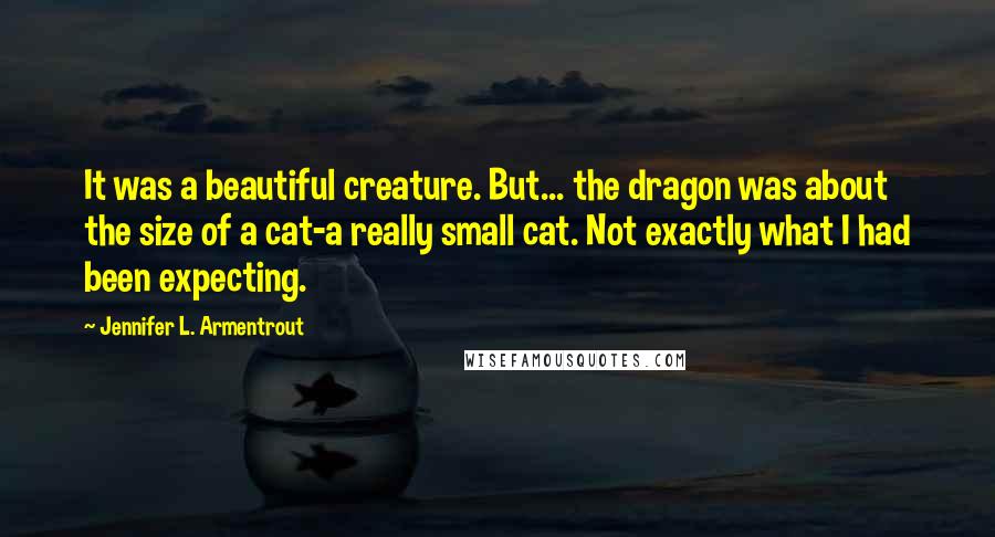 Jennifer L. Armentrout Quotes: It was a beautiful creature. But... the dragon was about the size of a cat-a really small cat. Not exactly what I had been expecting.