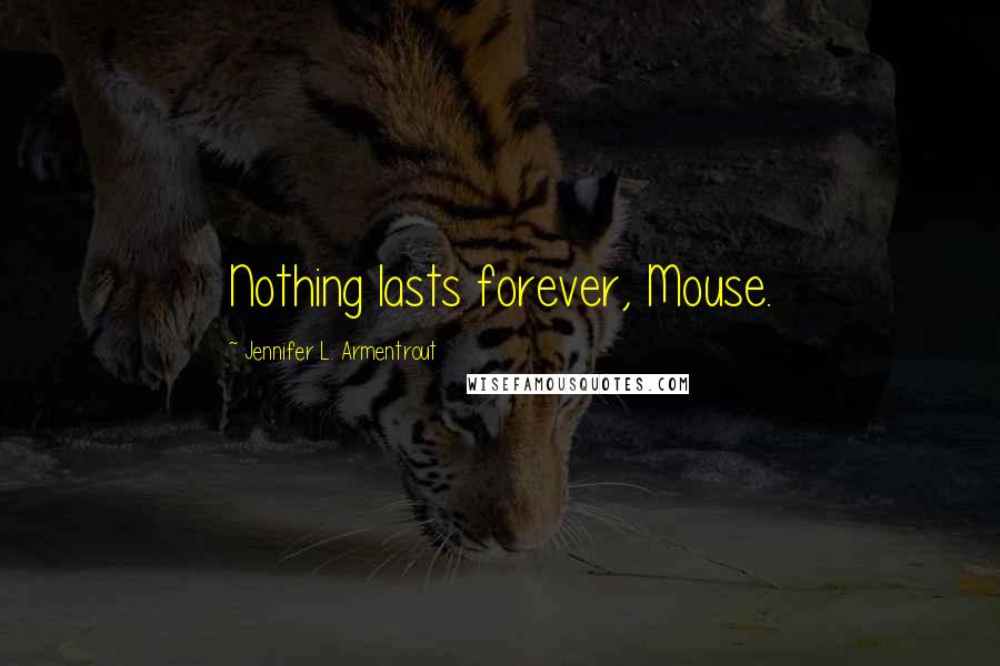 Jennifer L. Armentrout Quotes: Nothing lasts forever, Mouse.