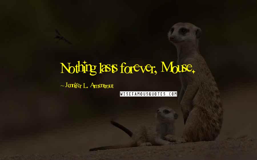 Jennifer L. Armentrout Quotes: Nothing lasts forever, Mouse.