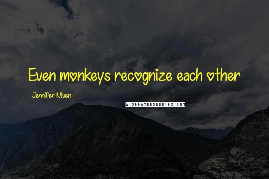 Jennifer Niven Quotes: Even monkeys recognize each other