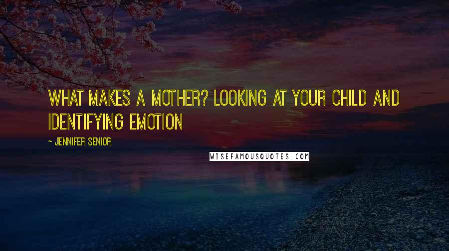 Jennifer Senior Quotes: What makes a mother? Looking at your child and identifying emotion
