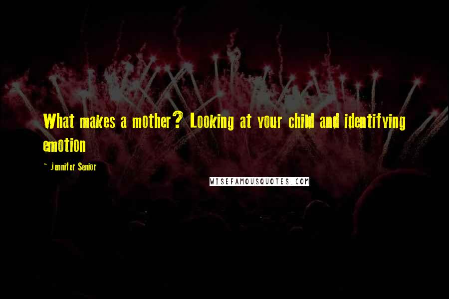 Jennifer Senior Quotes: What makes a mother? Looking at your child and identifying emotion