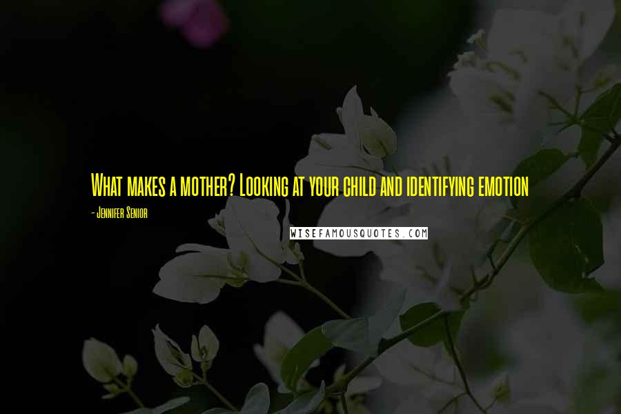 Jennifer Senior Quotes: What makes a mother? Looking at your child and identifying emotion