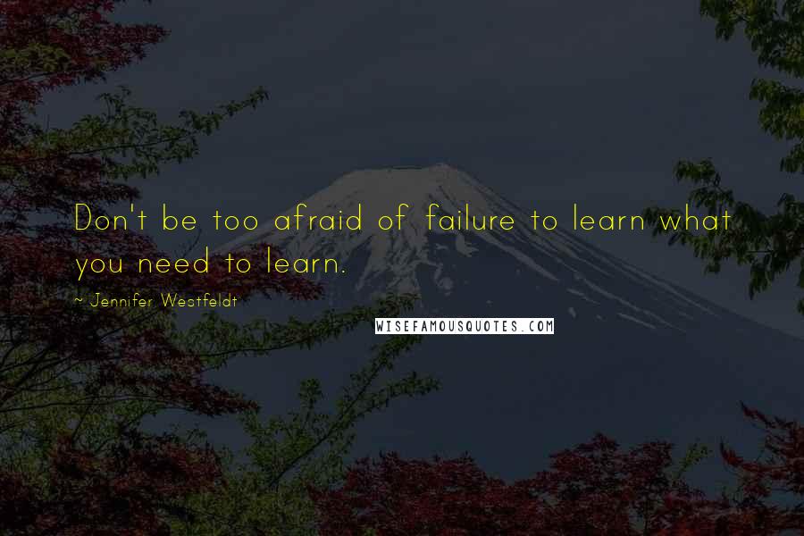 Jennifer Westfeldt Quotes: Don't be too afraid of failure to learn what you need to learn.