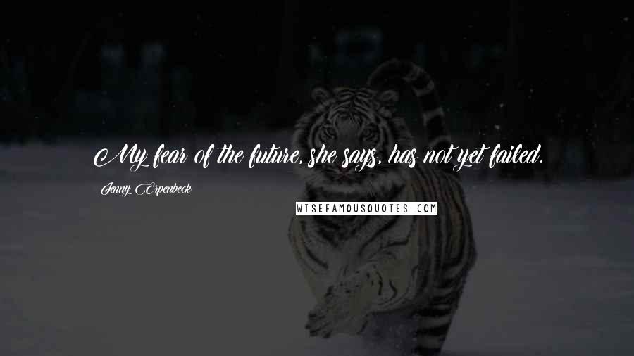 Jenny Erpenbeck Quotes: My fear of the future, she says, has not yet failed.