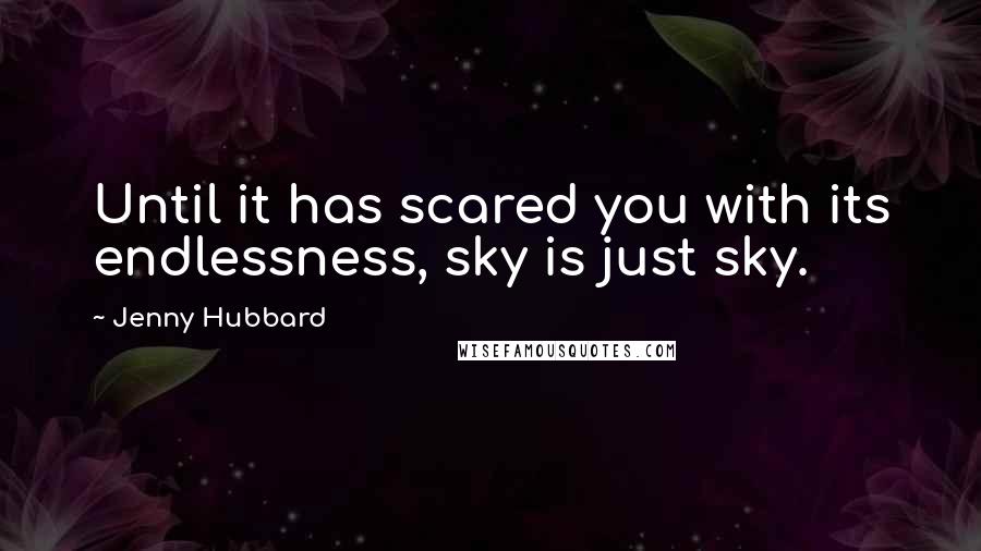 Jenny Hubbard Quotes: Until it has scared you with its endlessness, sky is just sky.