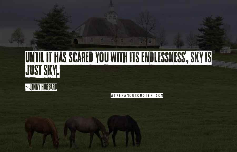 Jenny Hubbard Quotes: Until it has scared you with its endlessness, sky is just sky.