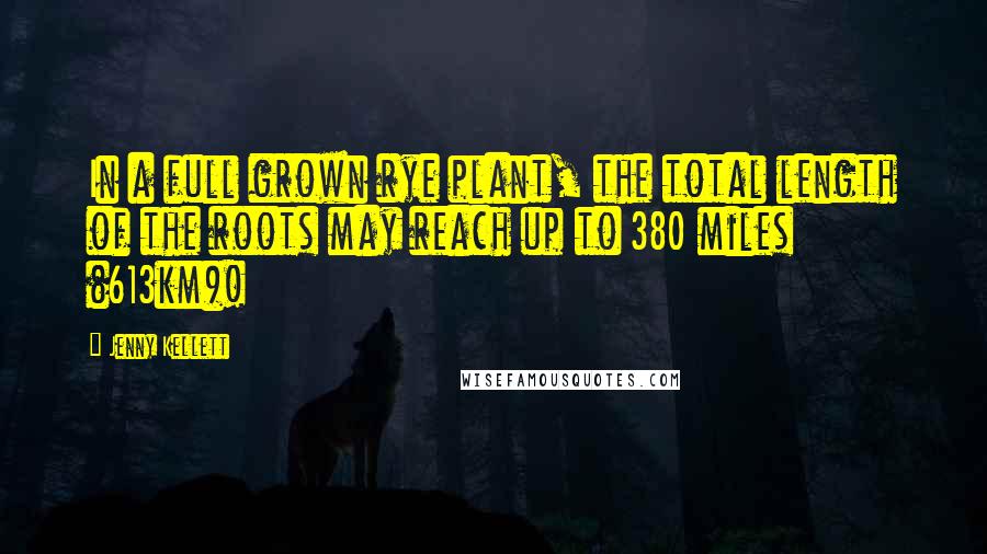 Jenny Kellett Quotes: In a full grown rye plant, the total length of the roots may reach up to 380 miles (613km)!