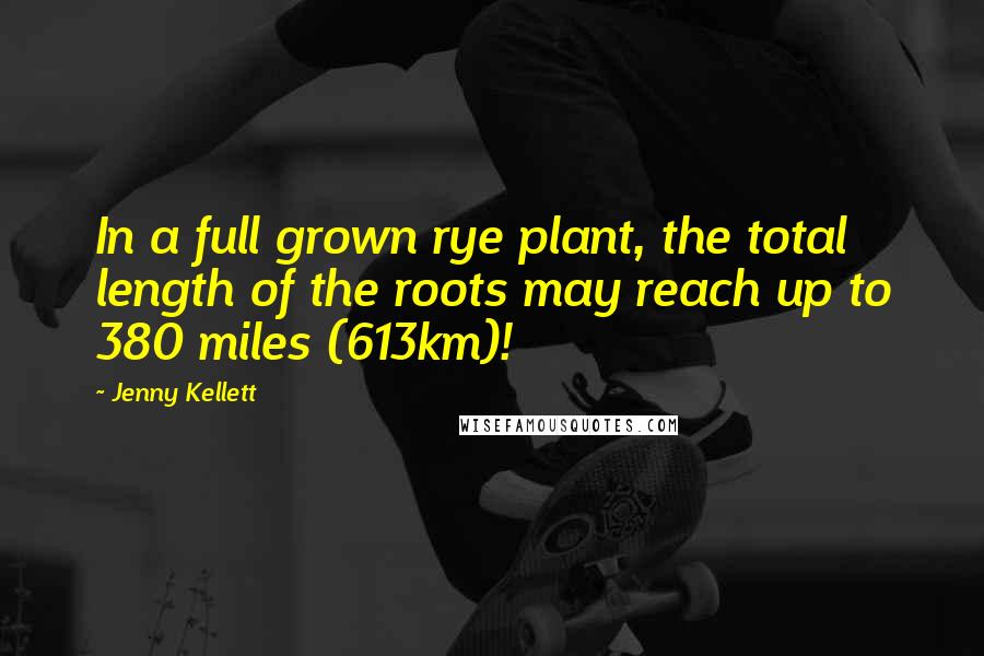 Jenny Kellett Quotes: In a full grown rye plant, the total length of the roots may reach up to 380 miles (613km)!