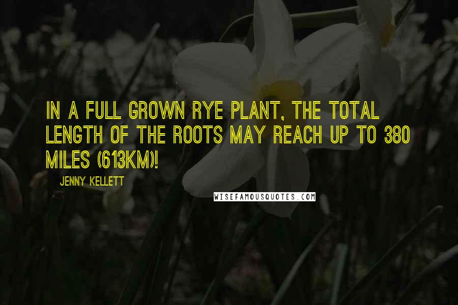 Jenny Kellett Quotes: In a full grown rye plant, the total length of the roots may reach up to 380 miles (613km)!