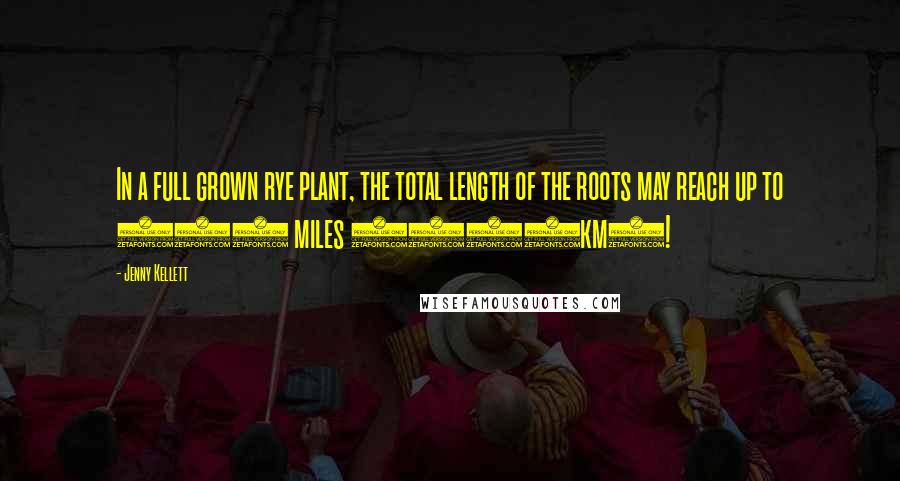 Jenny Kellett Quotes: In a full grown rye plant, the total length of the roots may reach up to 380 miles (613km)!