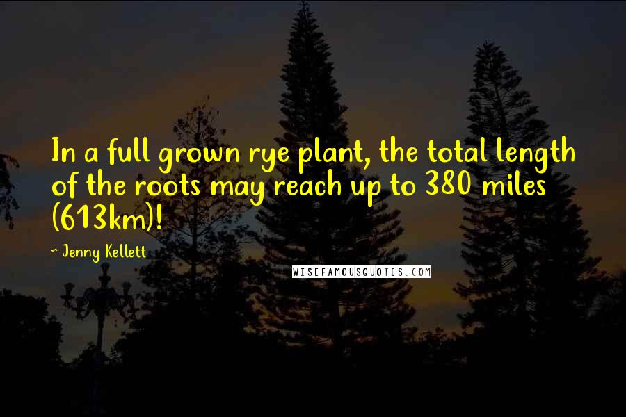 Jenny Kellett Quotes: In a full grown rye plant, the total length of the roots may reach up to 380 miles (613km)!