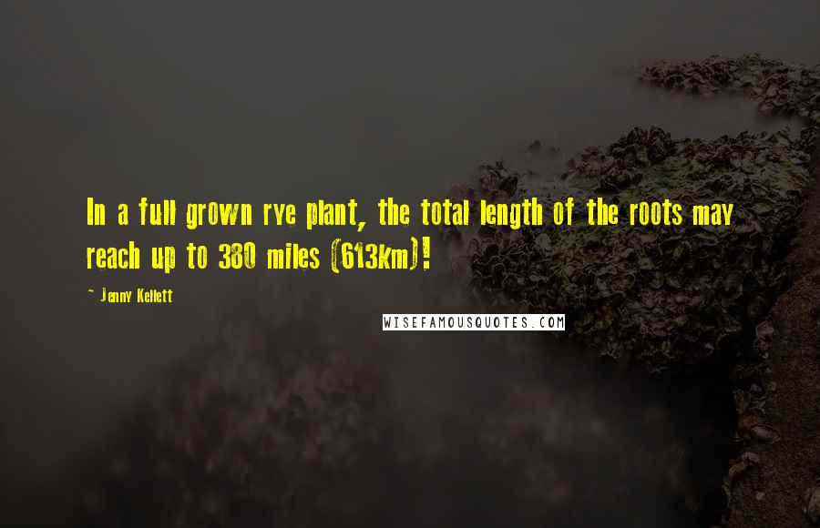 Jenny Kellett Quotes: In a full grown rye plant, the total length of the roots may reach up to 380 miles (613km)!