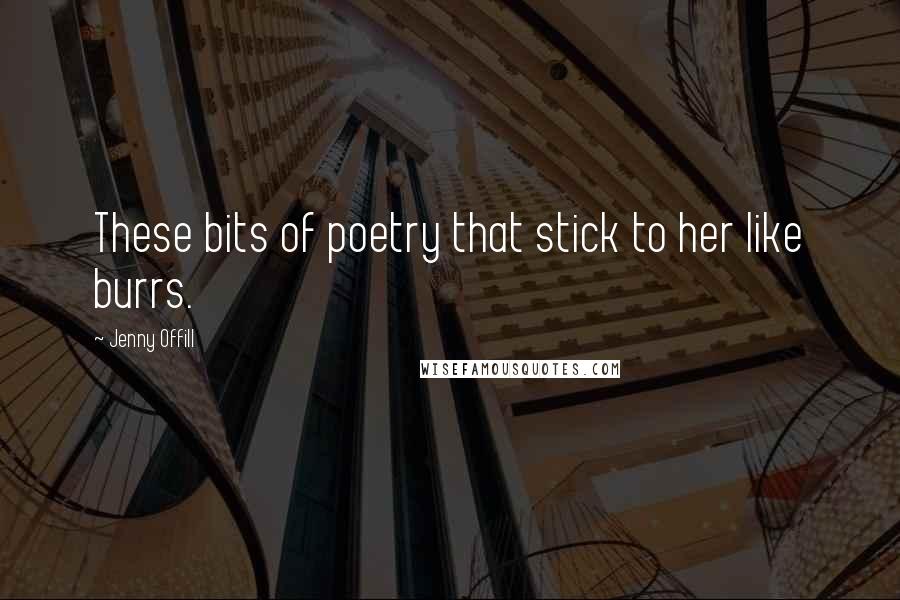 Jenny Offill Quotes: These bits of poetry that stick to her like burrs.
