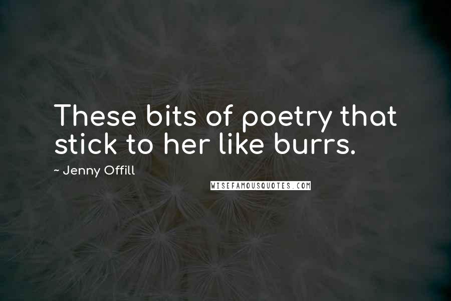 Jenny Offill Quotes: These bits of poetry that stick to her like burrs.