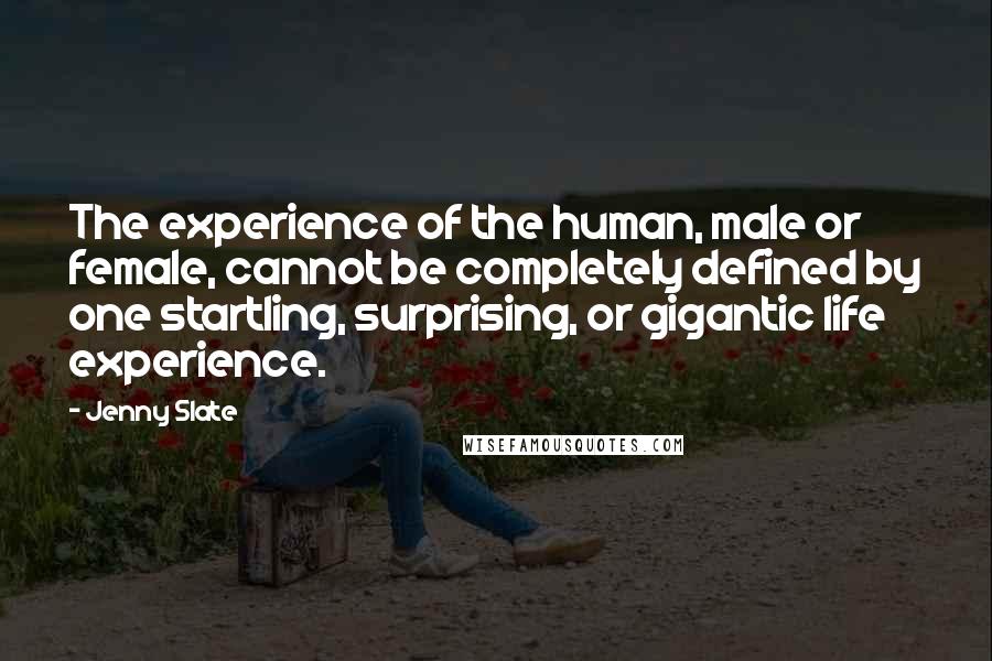 Jenny Slate Quotes: The experience of the human, male or female, cannot be completely defined by one startling, surprising, or gigantic life experience.